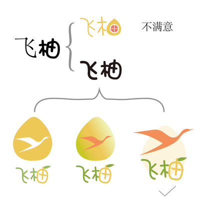 “飛柚網(wǎng)絡”Logo設計思維 為表哥店鋪注入科技與活力的視覺基因